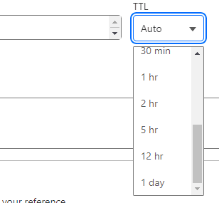 TTL Drop Down Menu when editing a domain